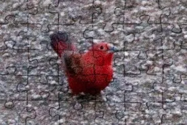 Amaranto di roccia jigsaw puzzle