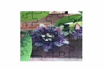 Granadina Gigante jigsaw puzzle