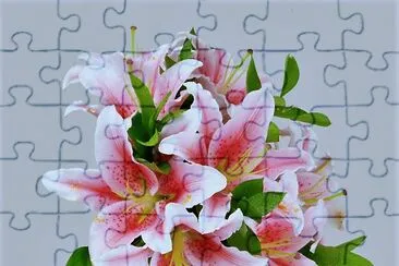 פאזל של flores