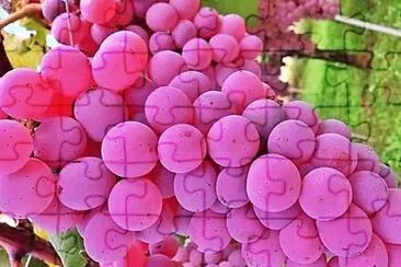 frutas