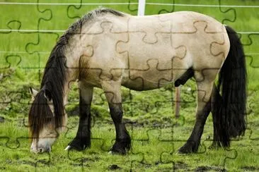 Dole gudbrandsdal jigsaw puzzle