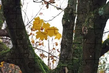 durchblick jigsaw puzzle