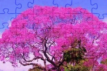 Primavera jigsaw puzzle