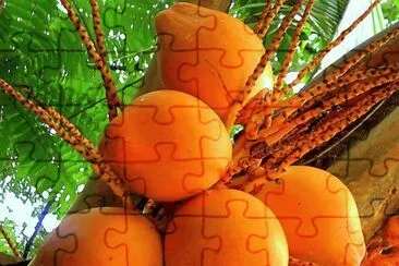 frutas jigsaw puzzle
