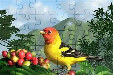 natural jigsaw puzzle