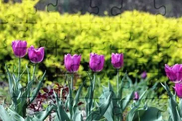 Nature jigsaw puzzle