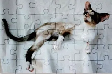 Seychellois jigsaw puzzle