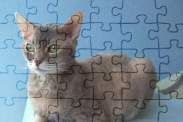 German rex jigsaw puzzle