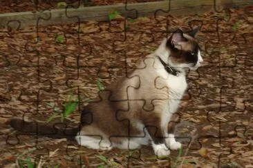 Snowshoe jigsaw puzzle