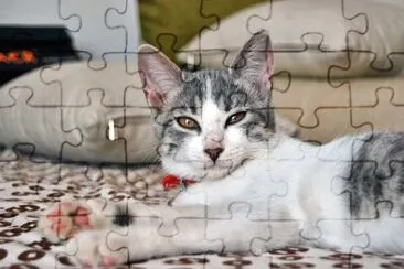 Egeo jigsaw puzzle
