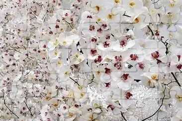 flores
