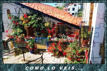COMO LO VEIS...  COMO CASA O COMO JARDÃN