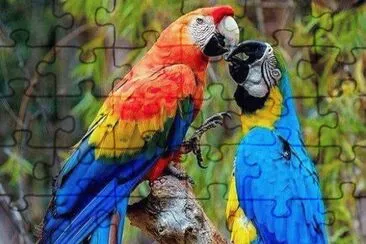 natural jigsaw puzzle