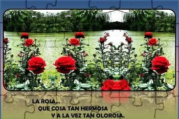 LA ROSAâ€¦  QUE COSA TAN HERMOSA