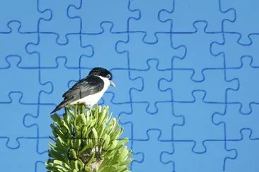 Vanga di chabert jigsaw puzzle