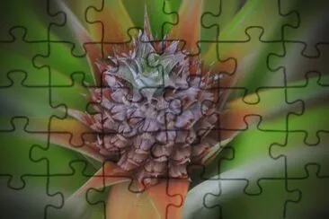 Ananas jigsaw puzzle