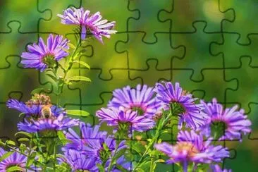 Nature jigsaw puzzle
