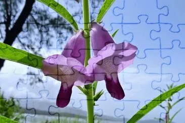 Nature jigsaw puzzle