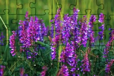 Nature jigsaw puzzle