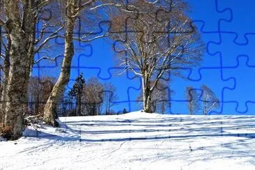 Nature jigsaw puzzle