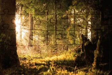 Nature jigsaw puzzle