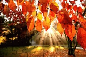 Automne 2