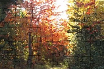 More beautiful trails... jigsaw puzzle