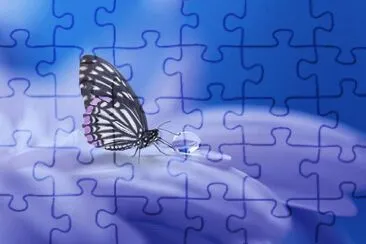 Papillon
