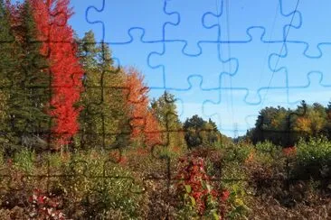 Crossing the hydro line    L jigsaw puzzle