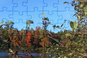 The Big Dam- further up the right hand side   L jigsaw puzzle
