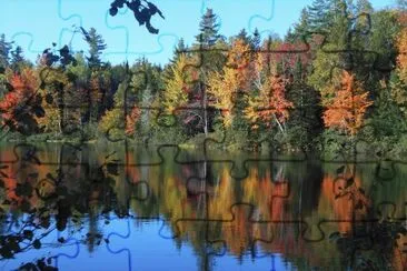 Colours so bright in the sunshine!    L jigsaw puzzle