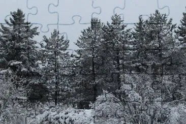 פאזל של Early snow..Oct 25 a NASTY day, but made nice pics