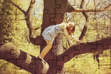 climb jigsaw puzzle