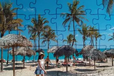 vzla jigsaw puzzle