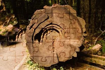 Altes Holz jigsaw puzzle