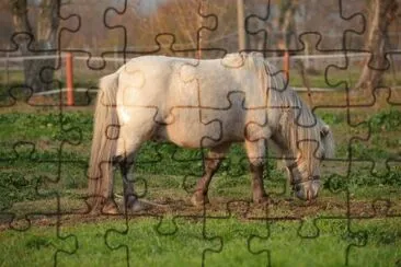 Argentino jigsaw puzzle