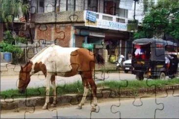 Manipur