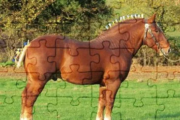 Suffolk jigsaw puzzle