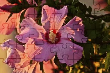 morgenblume jigsaw puzzle