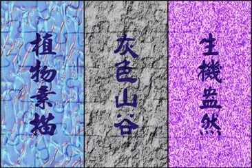 å„å¼æè³ª