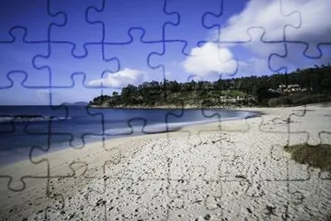 vzla jigsaw puzzle