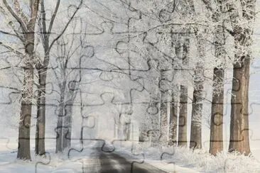 Paisaje de invierno