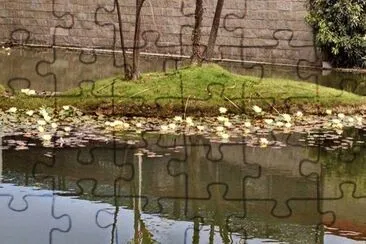 lotto jigsaw puzzle