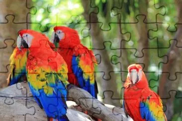 â™¥ jigsaw puzzle