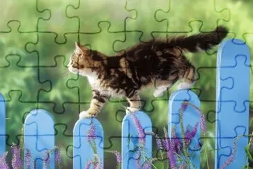 natural jigsaw puzzle