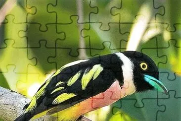 natural jigsaw puzzle