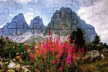 Nature jigsaw puzzle