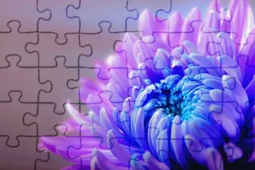 Nature jigsaw puzzle