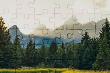 Nature jigsaw puzzle