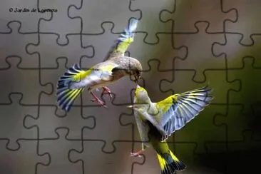 פאזל של imagem